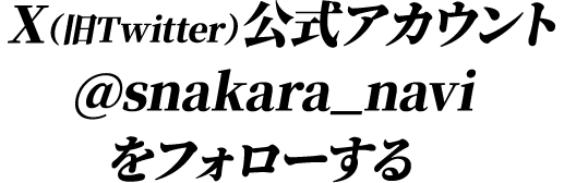 X(旧Twitter)公式アカウント @snakara_navi をフォローする