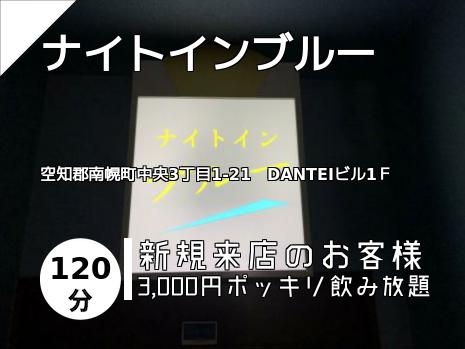 ナイトインブルー