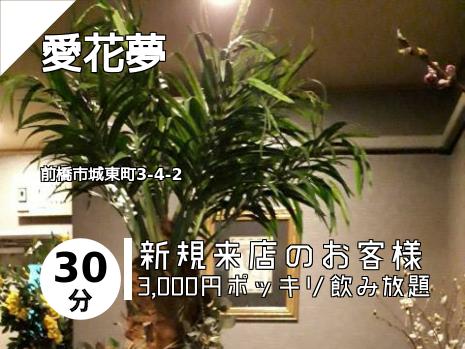 愛花夢