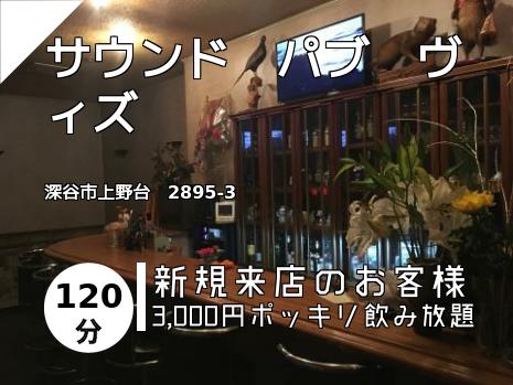 サウンド　パブ　ヴィズ