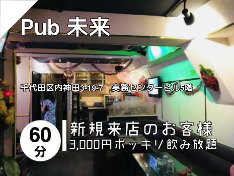 Pub 未来
