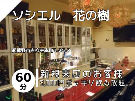 ソシエル　花の樹