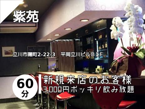 紫苑