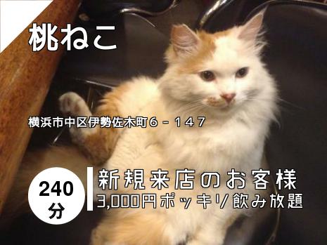 桜木町 野毛 みなとみらい 関内 中華街のスナックはこちら