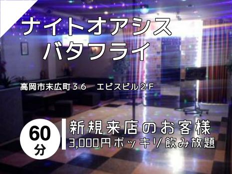 ナイトオアシス　　バタフライ