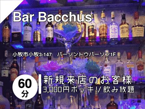 Bar Bacchus