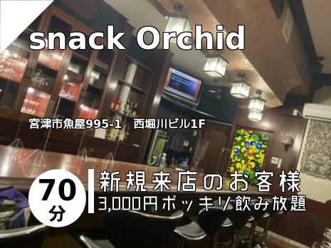snack Orchid