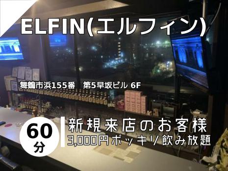 ELFIN(エルフィン)