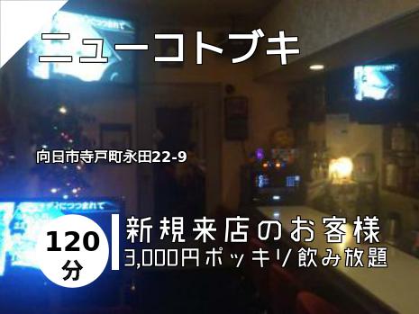 ニューコトブキ