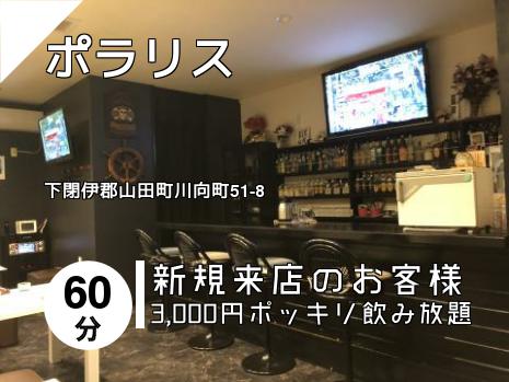 ポラリス