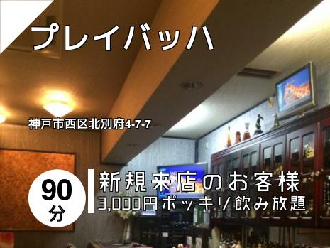 プレイバッハ