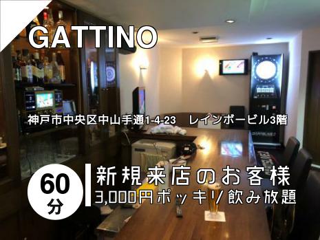 GATTINO