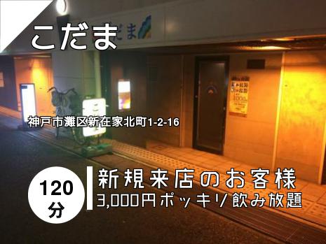 こだま
