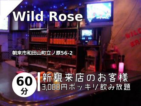 Wild Rose