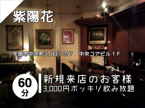 紫陽花