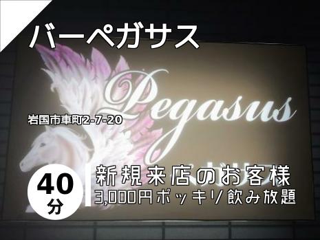 バーペガサス