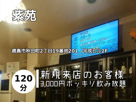 紫苑