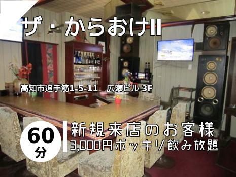 ザ・からおけⅡ