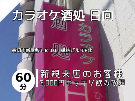 カラオケ酒処 日向