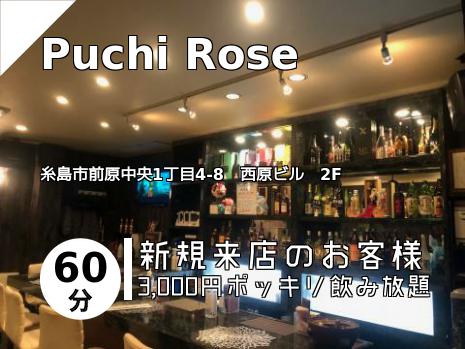 Puchi Rose