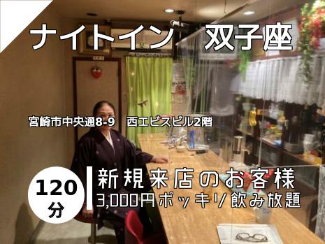 ナイトイン　双子座
