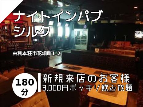 ナイトインパブ　　シルク