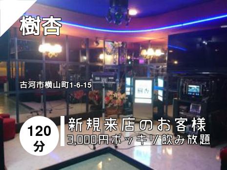 樹杏