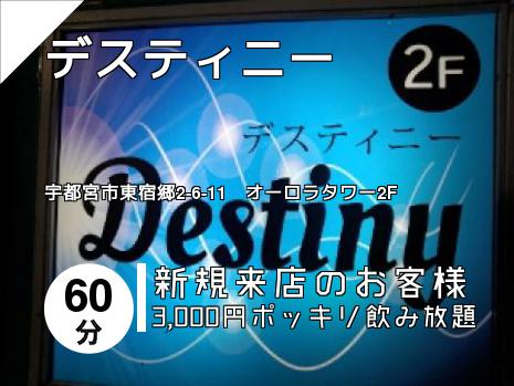 デスティニー
