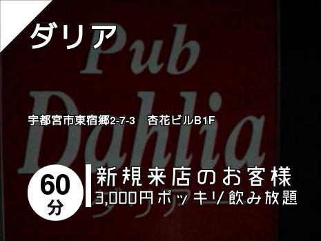 ダリア