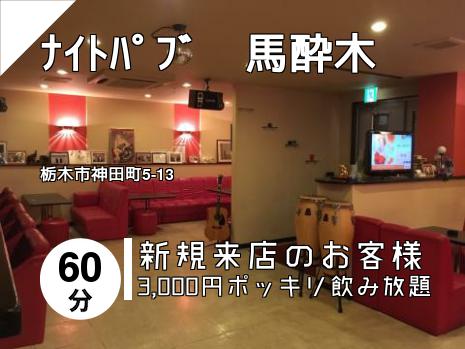 ﾅｲﾄﾊﾟﾌﾞ　馬酔木