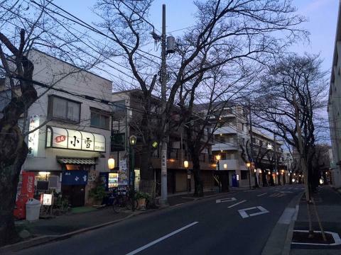 松戸市のスナック 小雪の写真