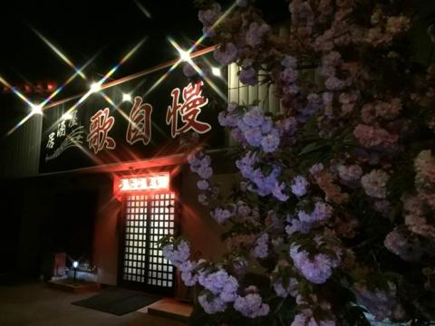 居酒屋　歌自慢の写真