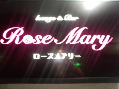 ＲＯＳＥ ＭＡＲＹの写真