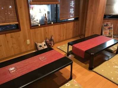 米子市のスナック 逢路都の写真