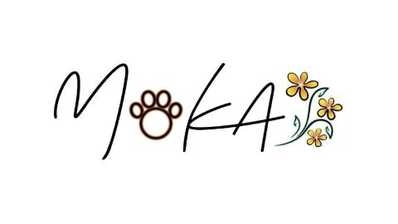 岡山市北区のスナック MOKAの写真