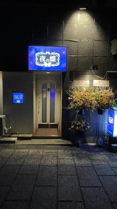 夜の蝶の写真2
