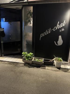 petit・chat　小猫の写真0