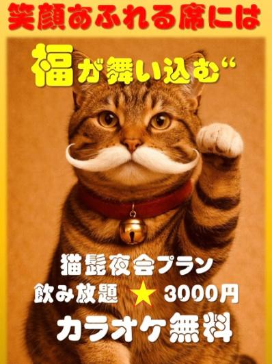 伊勢原市のスナック 猫の髭の写真