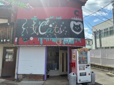 摂津市のスナック パブ　Ｃａｔ’ｓの写真