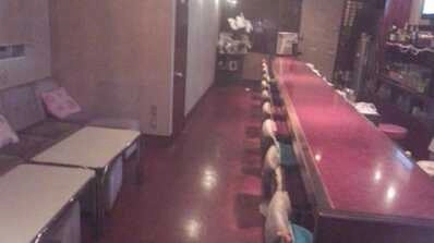 小松市のスナック ＮＡＭＩＭＡの写真