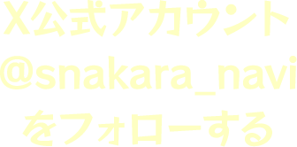 X(旧Twitter)公式アカウント @snakara_navi をフォローする
